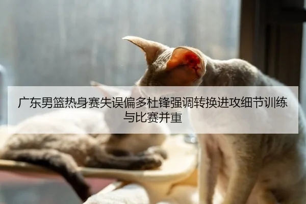 广东男篮热身赛失误偏多杜锋强调转换进攻细节训练与比赛并重